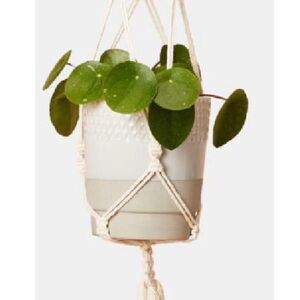 Calm Club Hang Time Kit